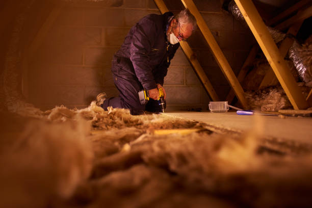 Best Insulation Removal  in Graysville, TN